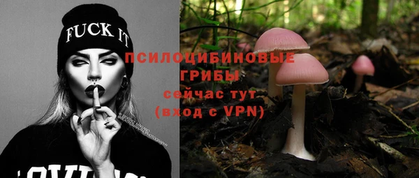 мяу мяу мука Нягань