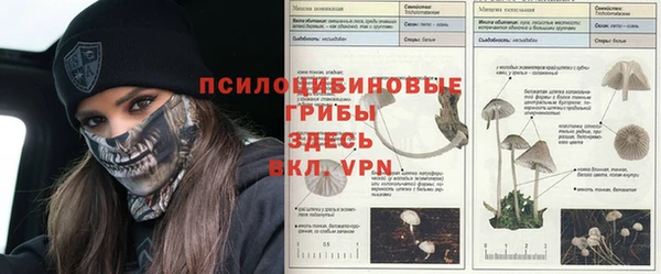 кокаин колумбия Нязепетровск
