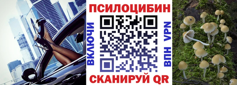 Псилоцибиновые грибы прущие грибы  Нея 